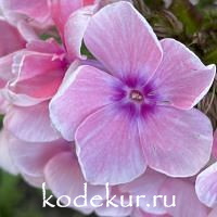 Благовест