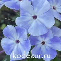 Голубой алмаз