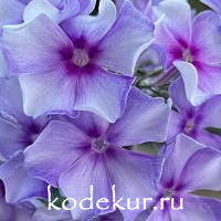 Вечерняя Москва