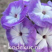 Зурбаган